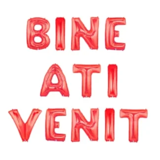 Set aranjament bundle litere BINE ATI VENIT